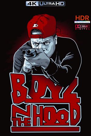 Boyz n the Hood's poster