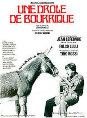L'âne de Zigliara's poster image
