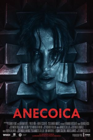 Anecoica's poster