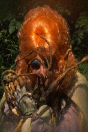 Stella Chase's poster