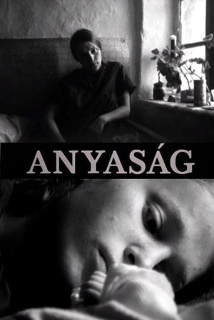 Anyaság's poster