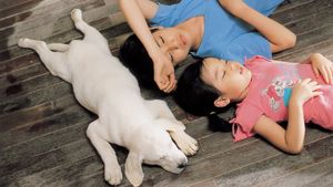 Hearty Paws's poster