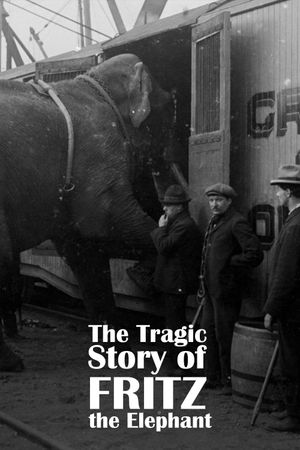 The Tragic Story of Fritz the Elephant's poster