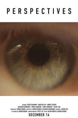 PERSPECTIVES's poster