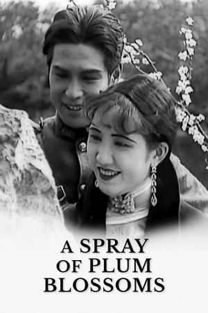 A Spray of Plum Blossoms's poster