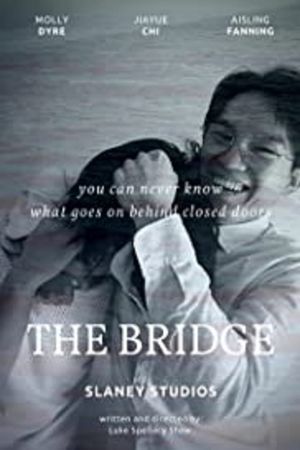 The Bridge's poster