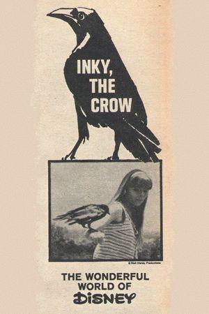 Inky, the Crow's poster