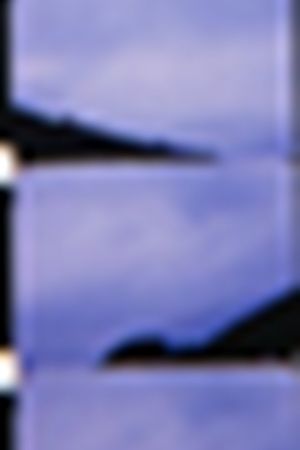 Fforest Bay's poster