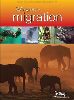 Disneynature: Migration's poster