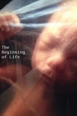 The Beginning of Life's poster image