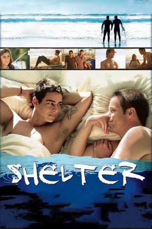 Shelter's poster