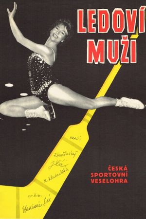 Ledoví muzi's poster