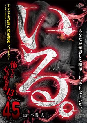 「Iru.」~ Kowasugiru Tōkō Eizō 13-hon ~ Vol.45's poster