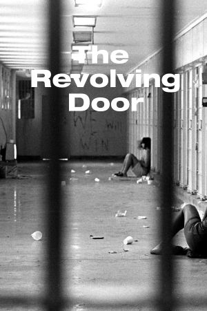 The Revolving Door's poster