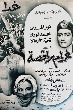 A Dancer's Love's poster