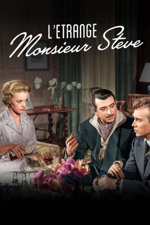 The Strange Mr. Steve's poster