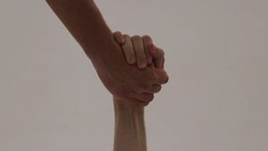 Dois Irmãos's poster