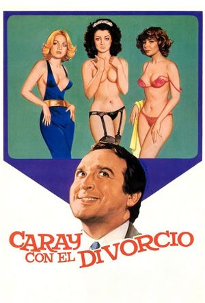 Hooray for Divorce!'s poster