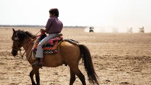 Birds of Passage's poster