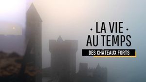 La vie au temps des châteaux forts's poster