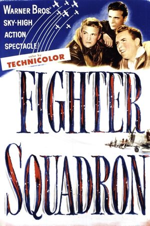 Fighter Squadron's poster