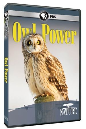 Owl Power's poster