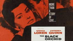 The Black Orchid's poster