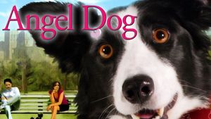 Angel Dog's poster