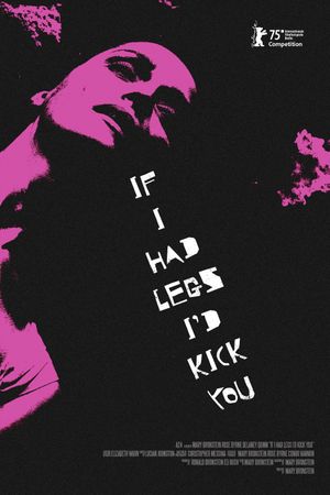 If I Had Legs I'd Kick You's poster