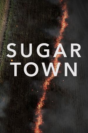 Sugar Town's poster image