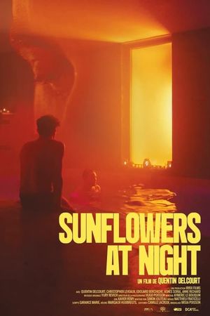 Sunflowers at Night's poster