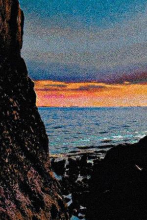 Where the Color and Sun Meet Together's poster