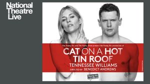 Cat on a Hot Tin Roof's poster