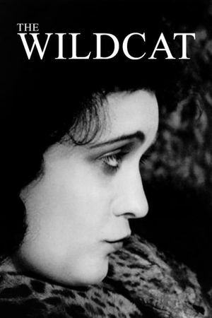 The Wildcat's poster