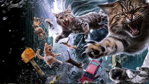 Catnado's poster