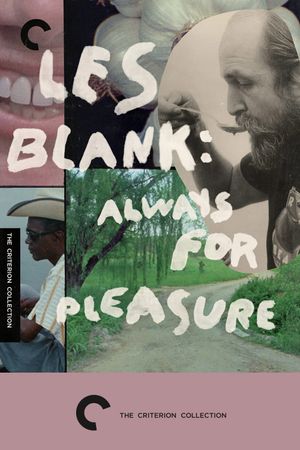 Always for Pleasure's poster
