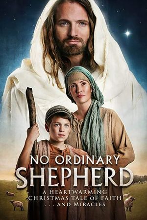 No Ordinary Shepherd's poster image