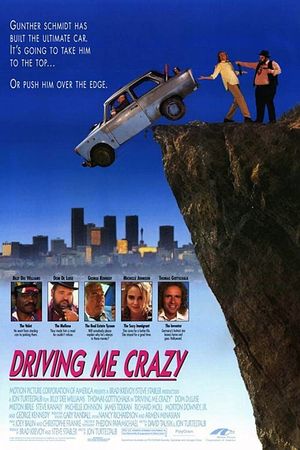 Driving Me Crazy's poster image