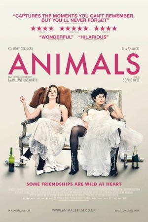 Animals's poster