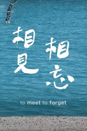 To Meet to Forget's poster