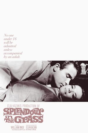 Splendor in the Grass's poster