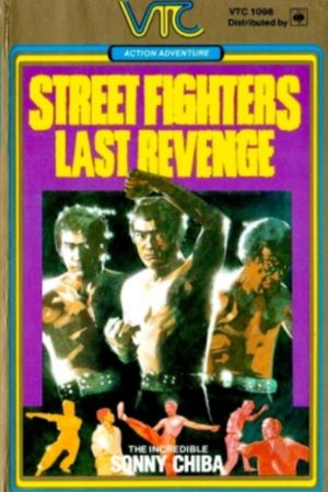 The Street Fighter's Last Revenge's poster