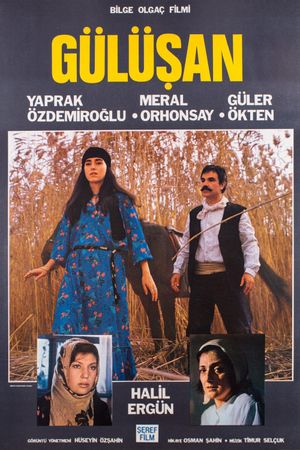 Gülüsan's poster