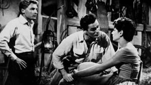 La delatora's poster