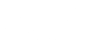 Anemone: Eureka Seven Hi-Evolution's poster