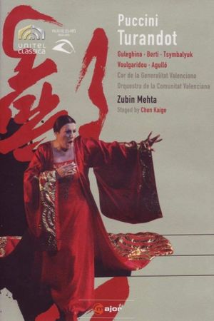 Turandot: Palau de les Arts de Valencia's poster
