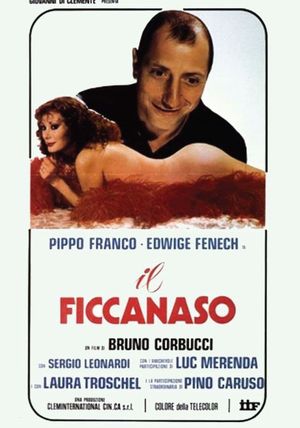 Il ficcanaso's poster image