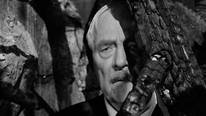 Wild Strawberries's poster