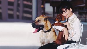 The Ugly Dachshund's poster