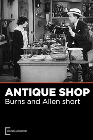 The Antique Shop's poster